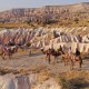 Cappadocia Camel Riding